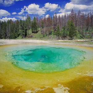 Yellowstone